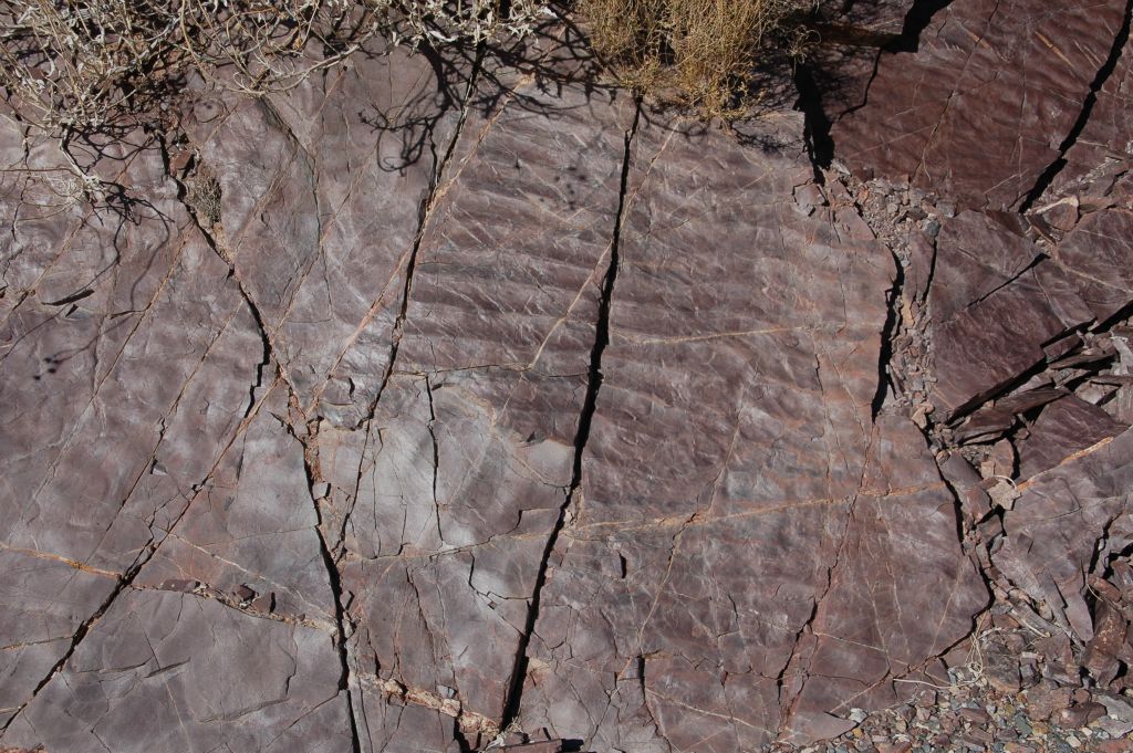 The patterns on this rock were quite interesting to behold: